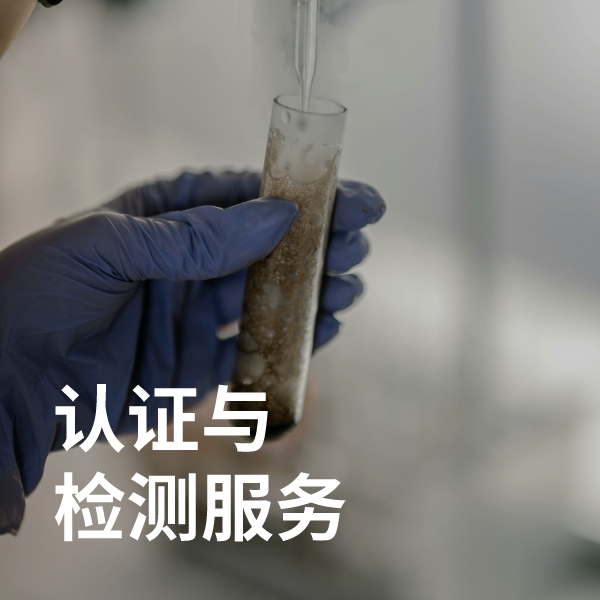 认证与检测服务