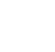 Fi/Hi/Vitafoods/SupplySide全球系列展logo